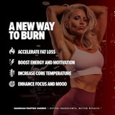 فستد کاردیو ۴۰ سروینگ مگنوم